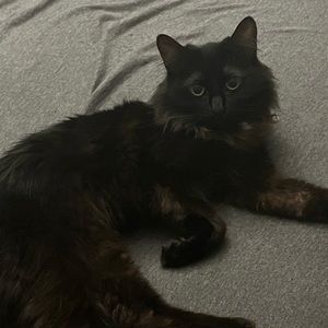 Meet your Posher, Triston